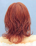 「春髪」掲載中のヘアースタイル 後ろ