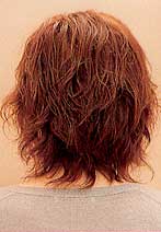 「秋髪」掲載中のヘアースタイル 後ろ